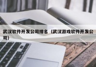 武汉软件开发公司排名（武汉游戏软件开发公司）