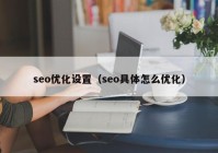 seo优化设置（seo具体怎么优化）