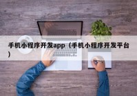 手机小程序开发app（手机小程序开发平台）