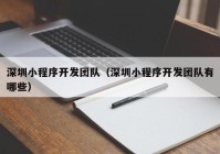 深圳小程序开发团队（深圳小程序开发团队有哪些）