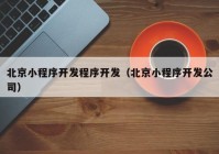 北京小程序开发程序开发（北京小程序开发公司）