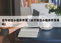 自学微信小程序开发（自学微信小程序开发难吗）