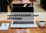 aspice软件开发流程等级（aspice软件开发流程）