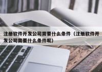 注册软件开发公司需要什么条件（注册软件开发公司需要什么条件呢）